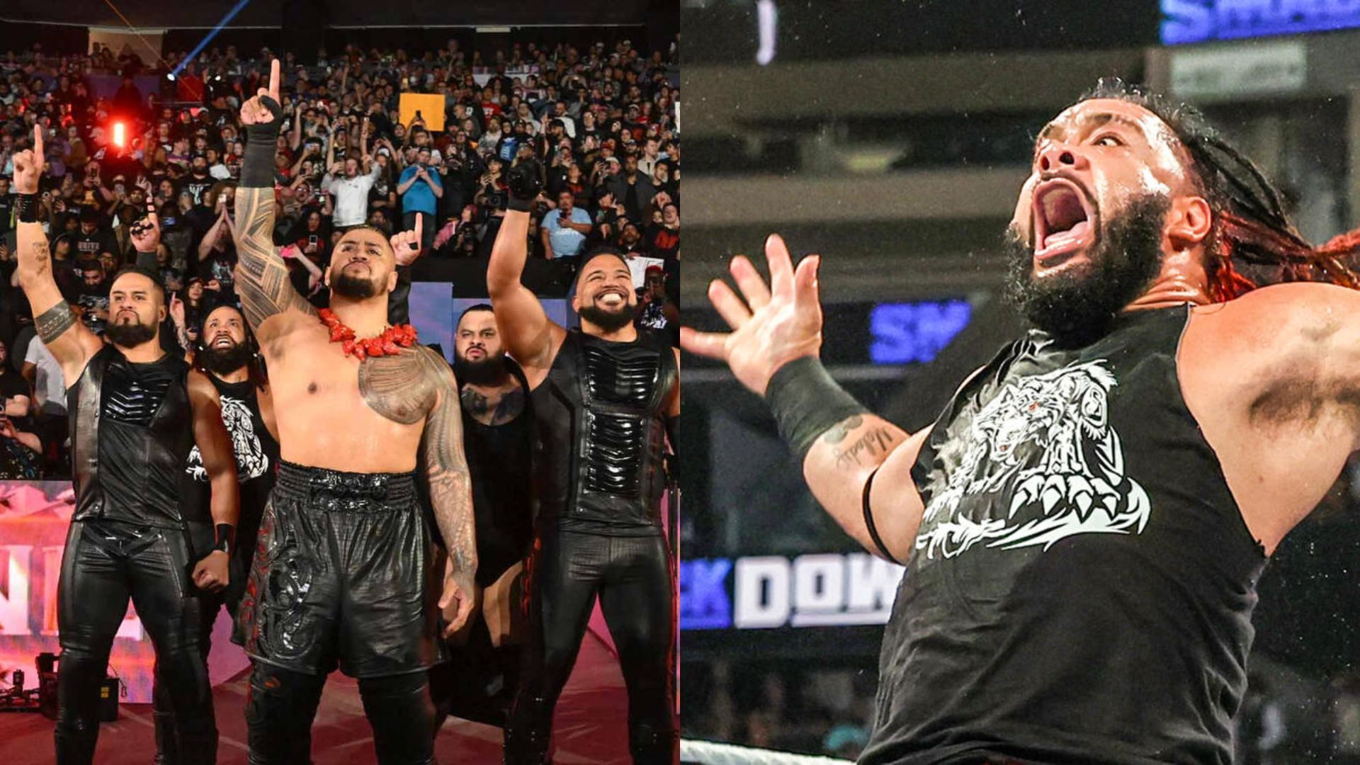 The Bloodline 2.0 at Survivor Series WarGames (Imaage Credits: WWE.com)