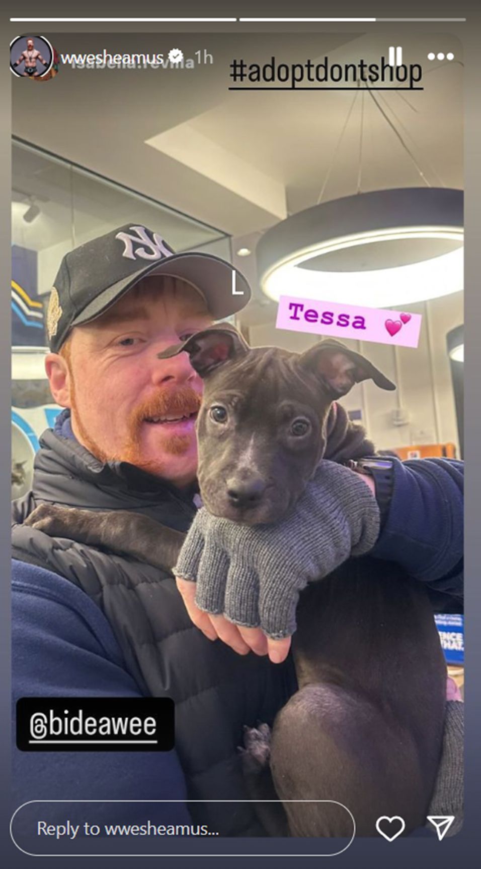 Sheamus has a new addition to his family [Screenshot of Sheamus&#039; IG story]