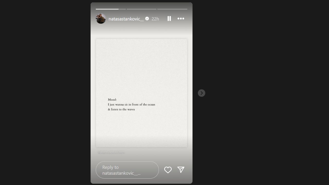 नताशा स्टेनकोविक ने शेयर की इंस्टाग्राम पोस्ट (photo credit: instagram/natasastankovic__)