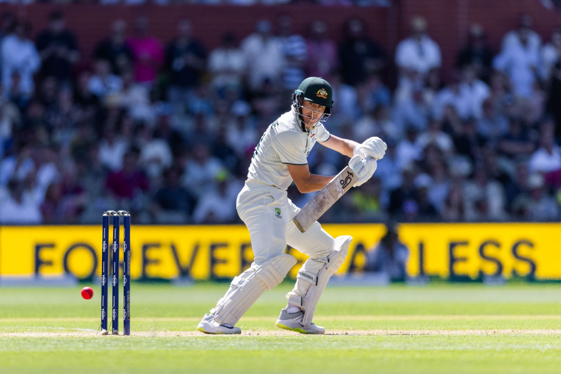 Marnus Labuschagne scored a defiant half-century in the first innings. (Image Credits: Getty Images)