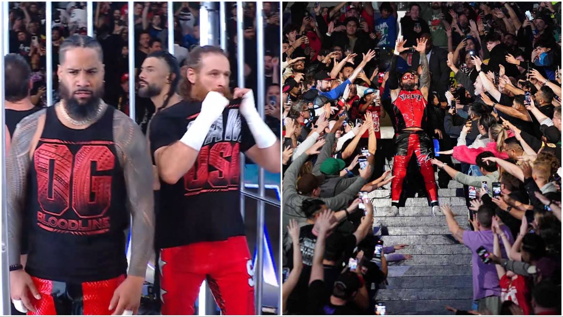 The Bloodline members at WWE Survivor Series: WarGames