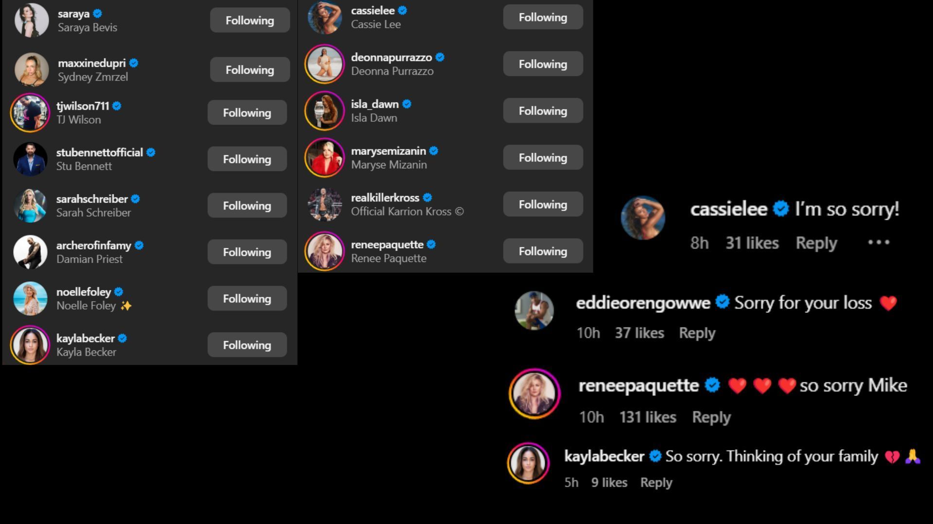 Screenshot of stars&#039; likes and comments [Image credits: The Miz&#039;s Instagram handle]