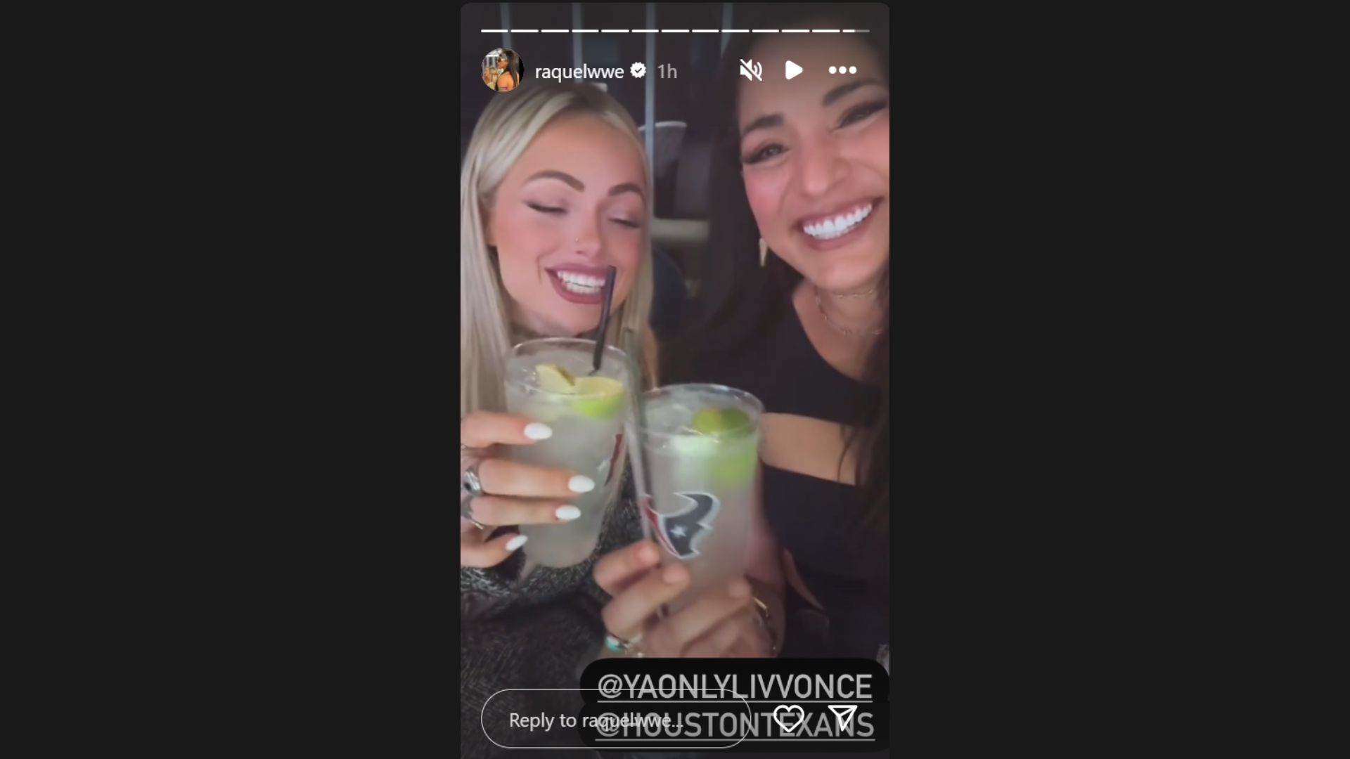 Raquel Rodriguez sends a message to Liv Morgan (Image Credits: Raquel&#039;s Instagram story)