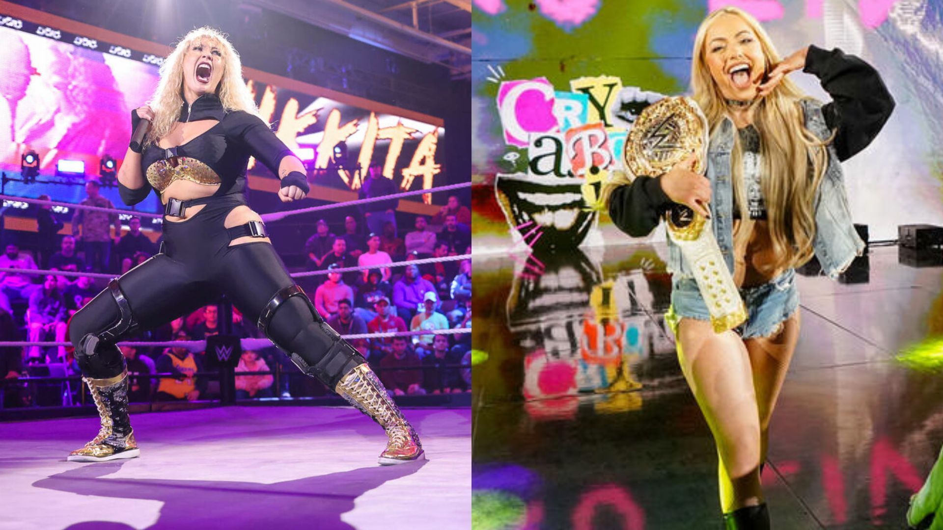 Nikkita Lyons (left), Liv Morgan (right) (Image Credits: WWE.com)