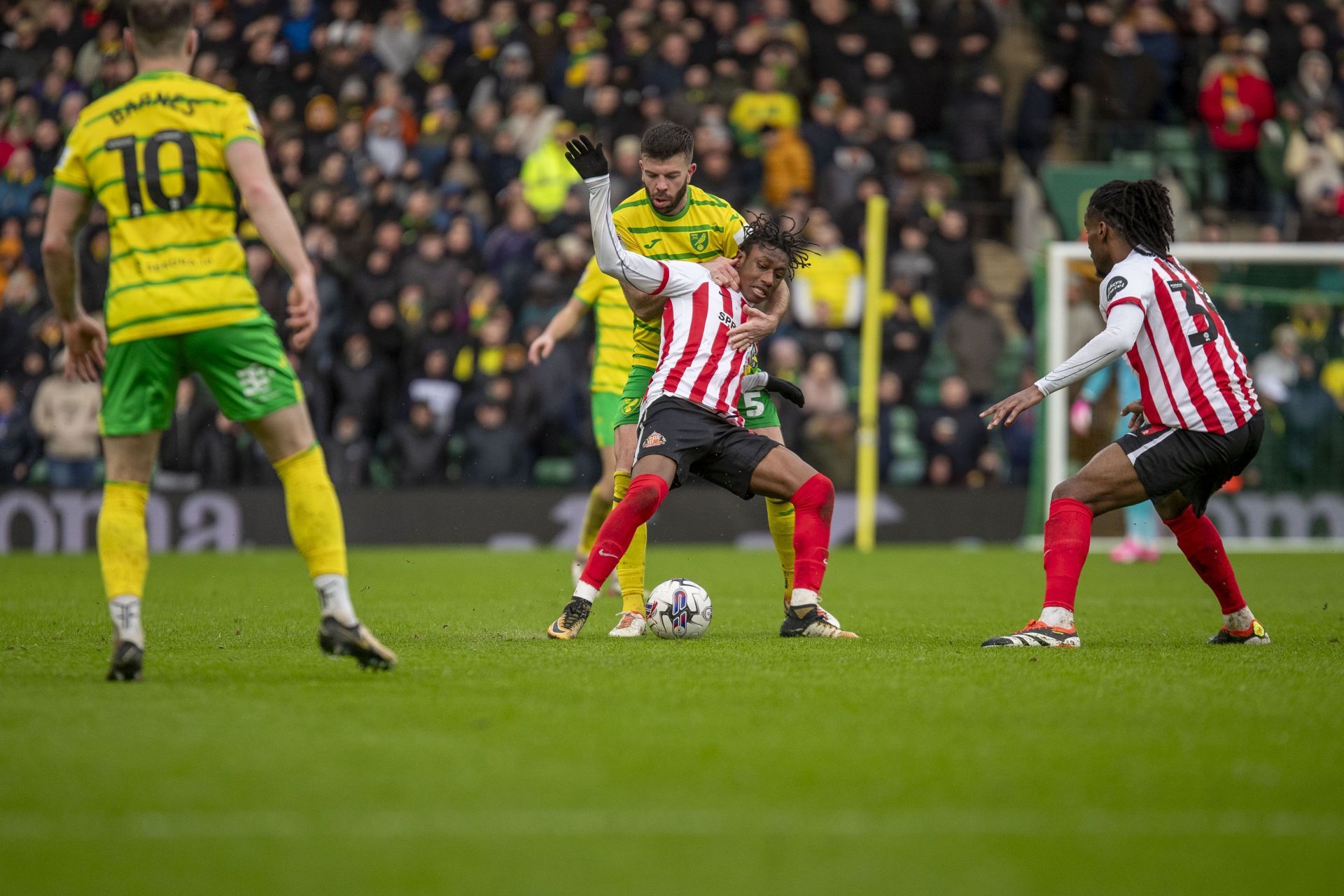 Norwich City v Sunderland - Sky Bet Championship - Source: Getty