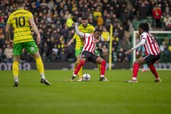 Sunderland vs Norwich City Prediction and Betting Tips | 21st December 2024