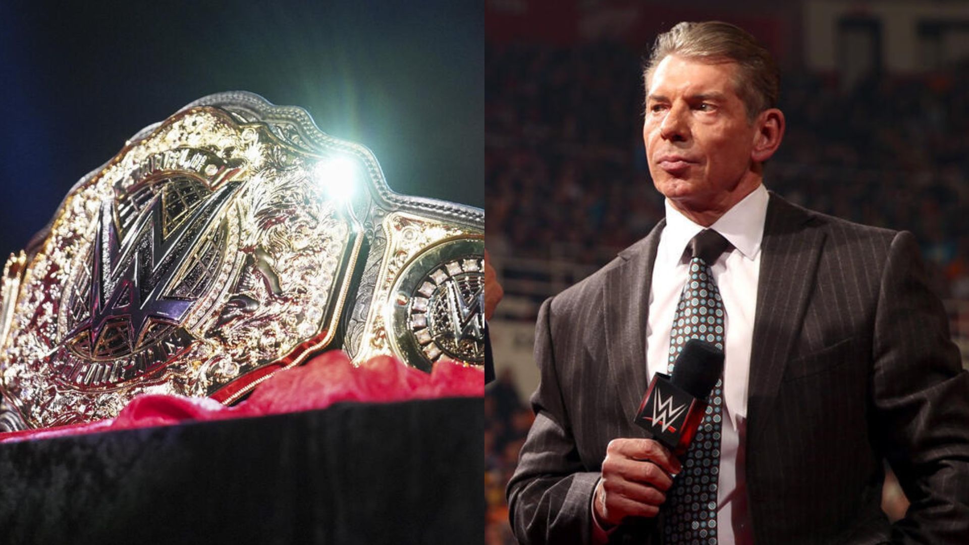 WWE veteran on 3-time World Champion and Vince McMahon