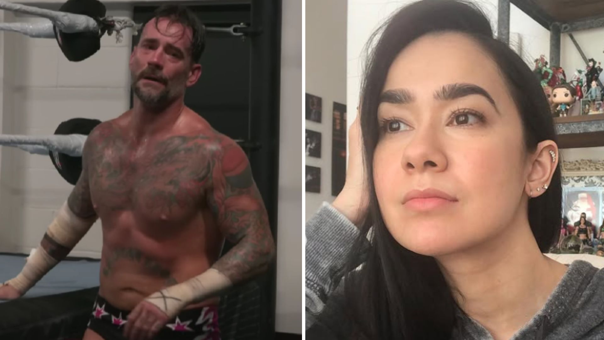 AJ Lee is CM Punk