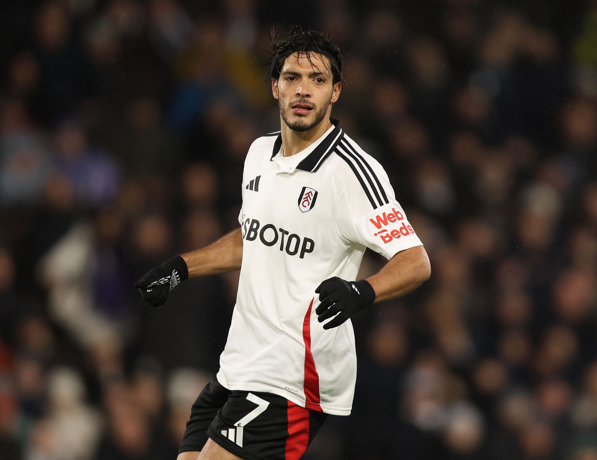 Fulham FC v Wolverhampton Wanderers FC - Premier League - Source: Getty