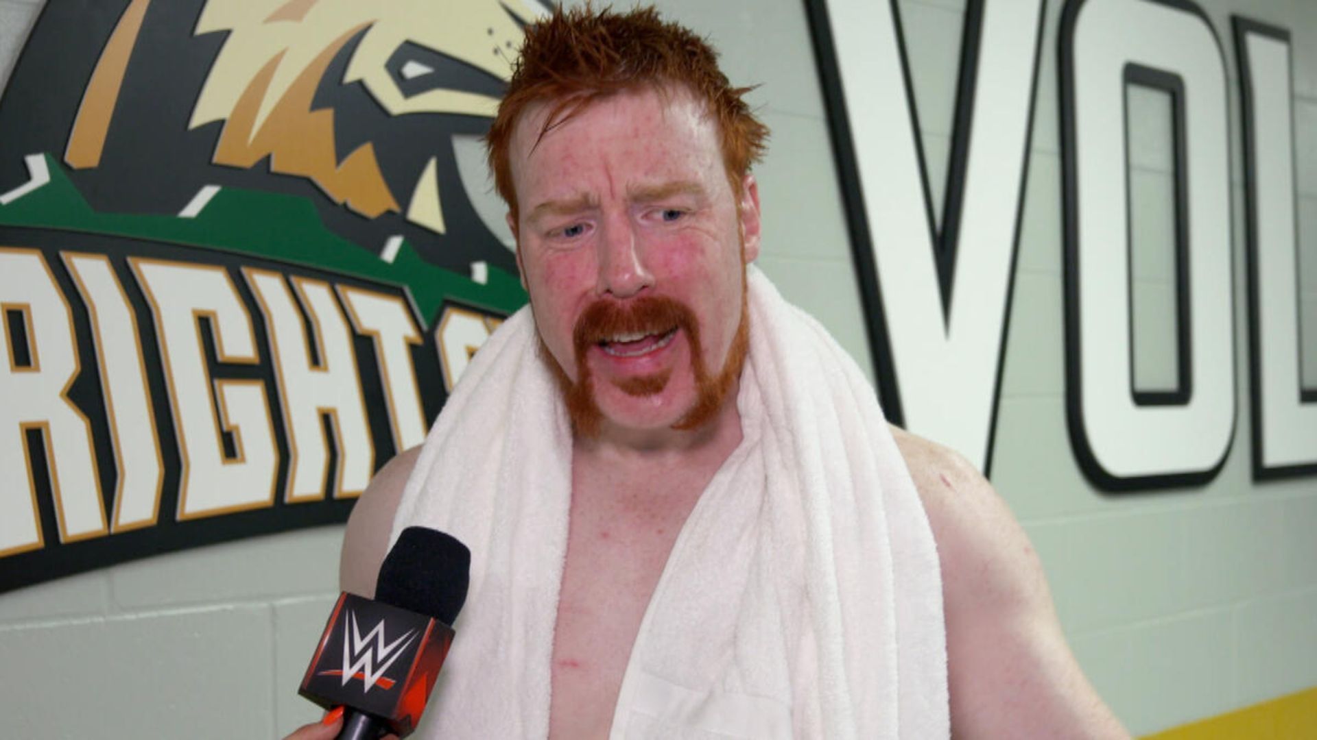 Sheamus failed to win the IC Title at Survivor Series (Image Credits: WWE.com)