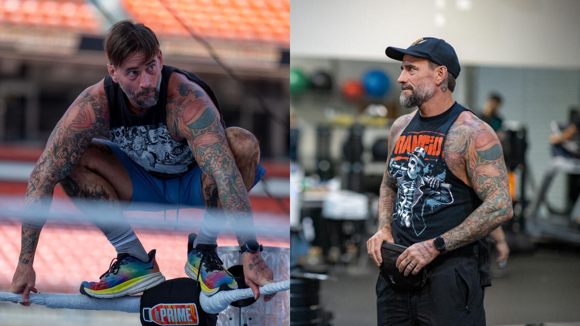 CM Punk is a former WWE Champion. [Photos from WWE.com]