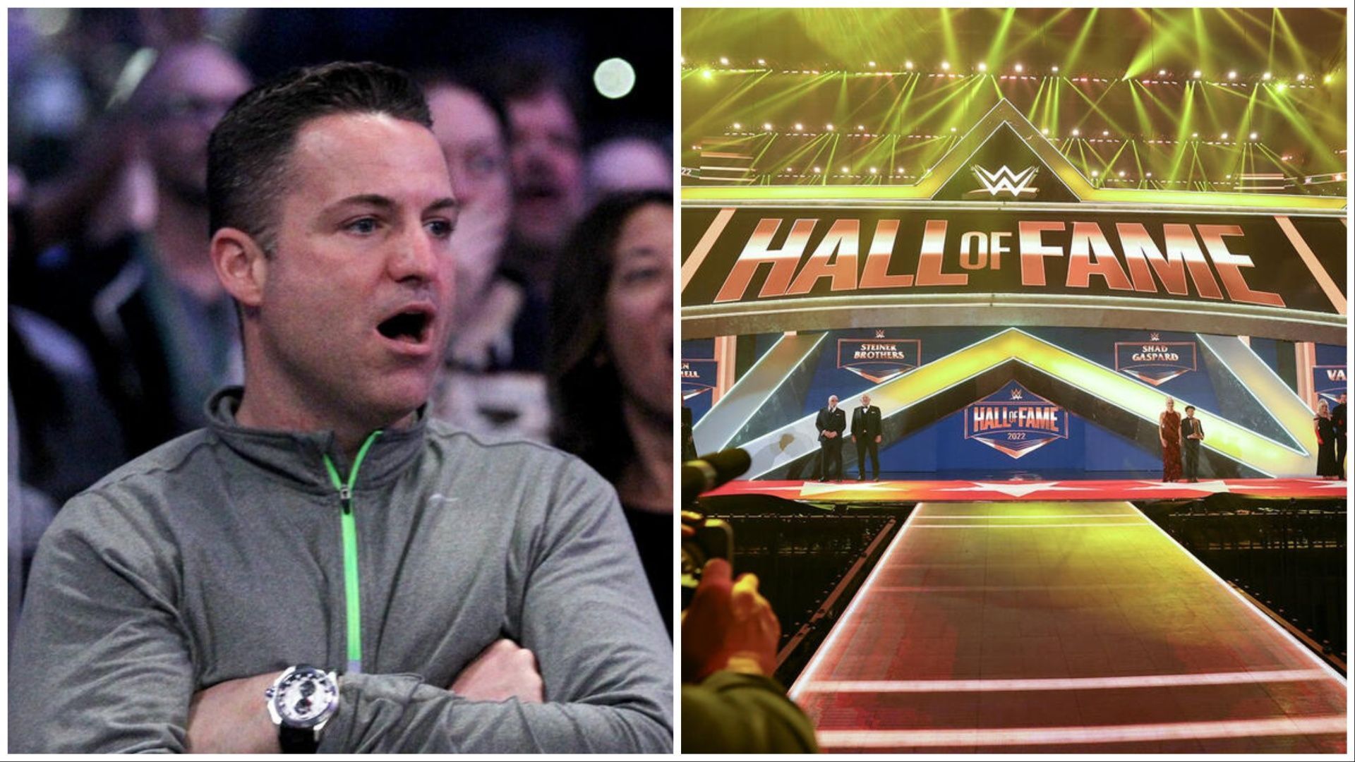 The WWE Hall of Fame was founded in 1993. (Photos: WWE.com)