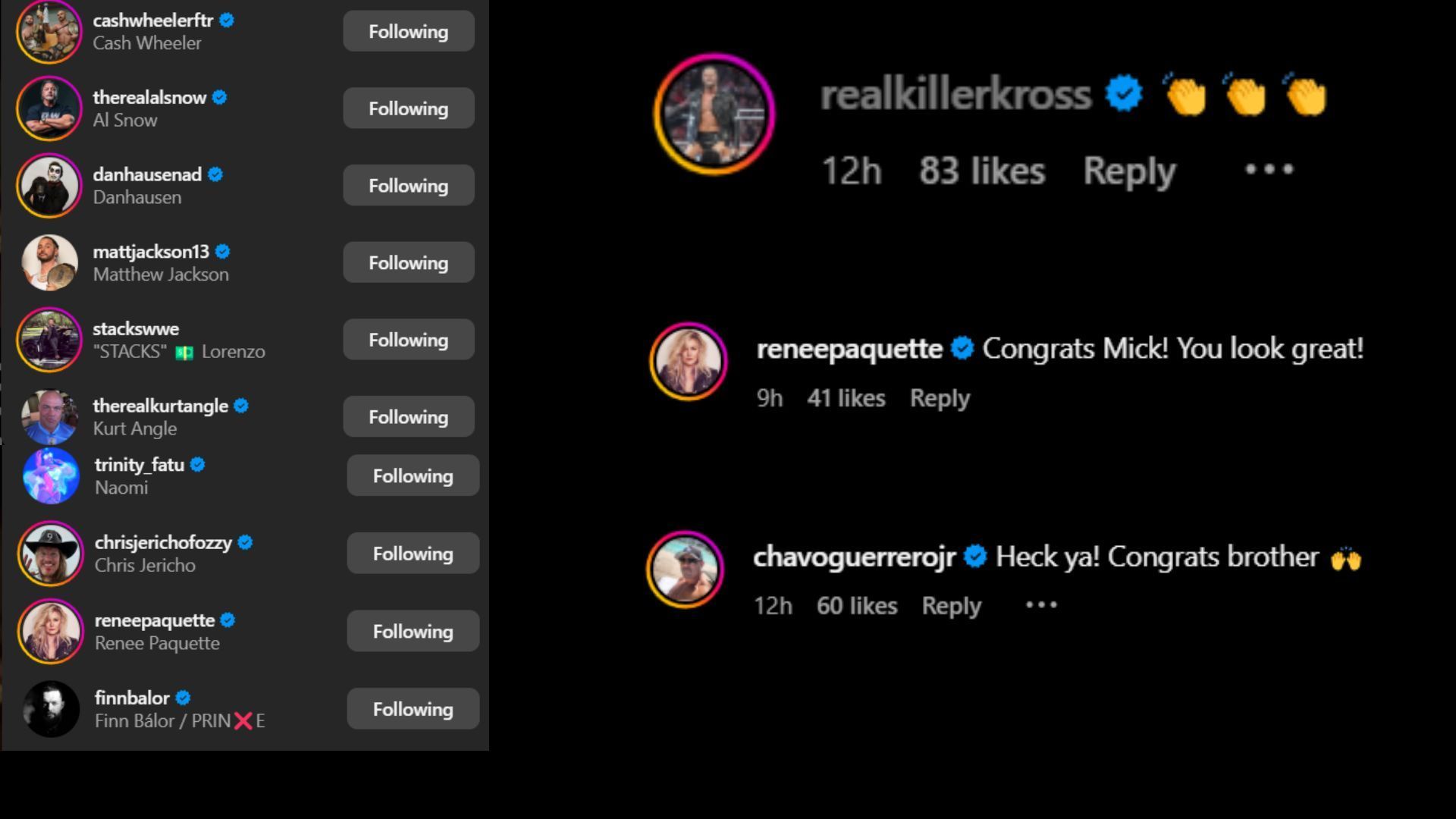 Screenshot of stars&#039; likes and comments [Image credit: Mick Foley&#039;s Instagram handle]