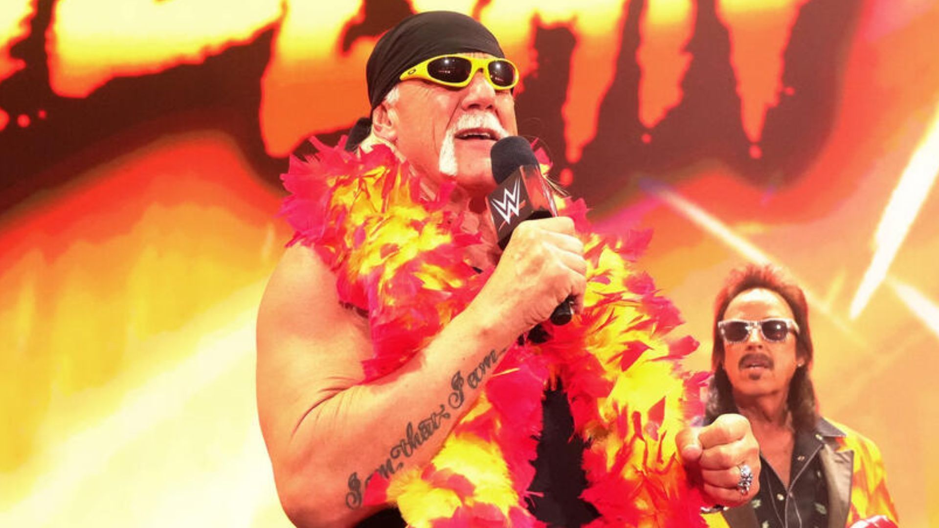 Hogan is one of the biggest wrestling stars in history. [Image credit: WWE.com]