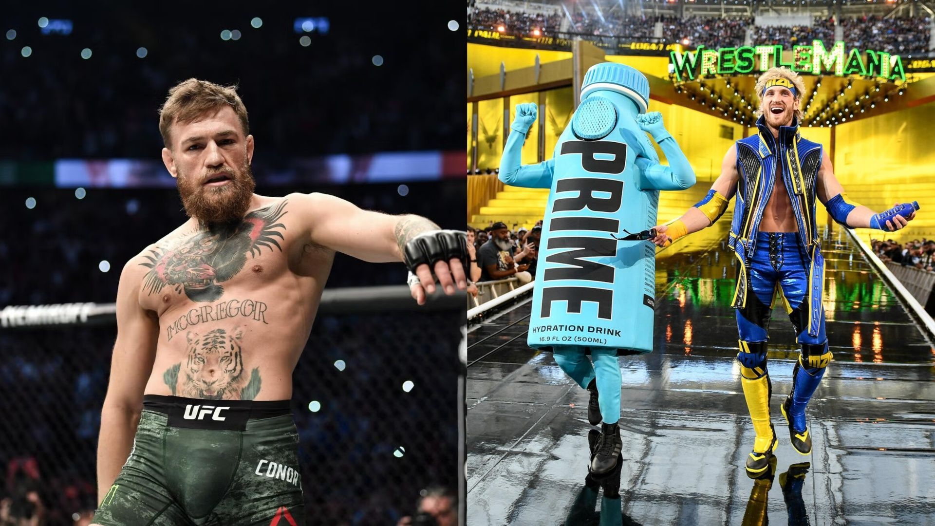 Conor McGregor first teased a fight with Logan Paul back in December 2024 (Images via WWE and UFC.com).