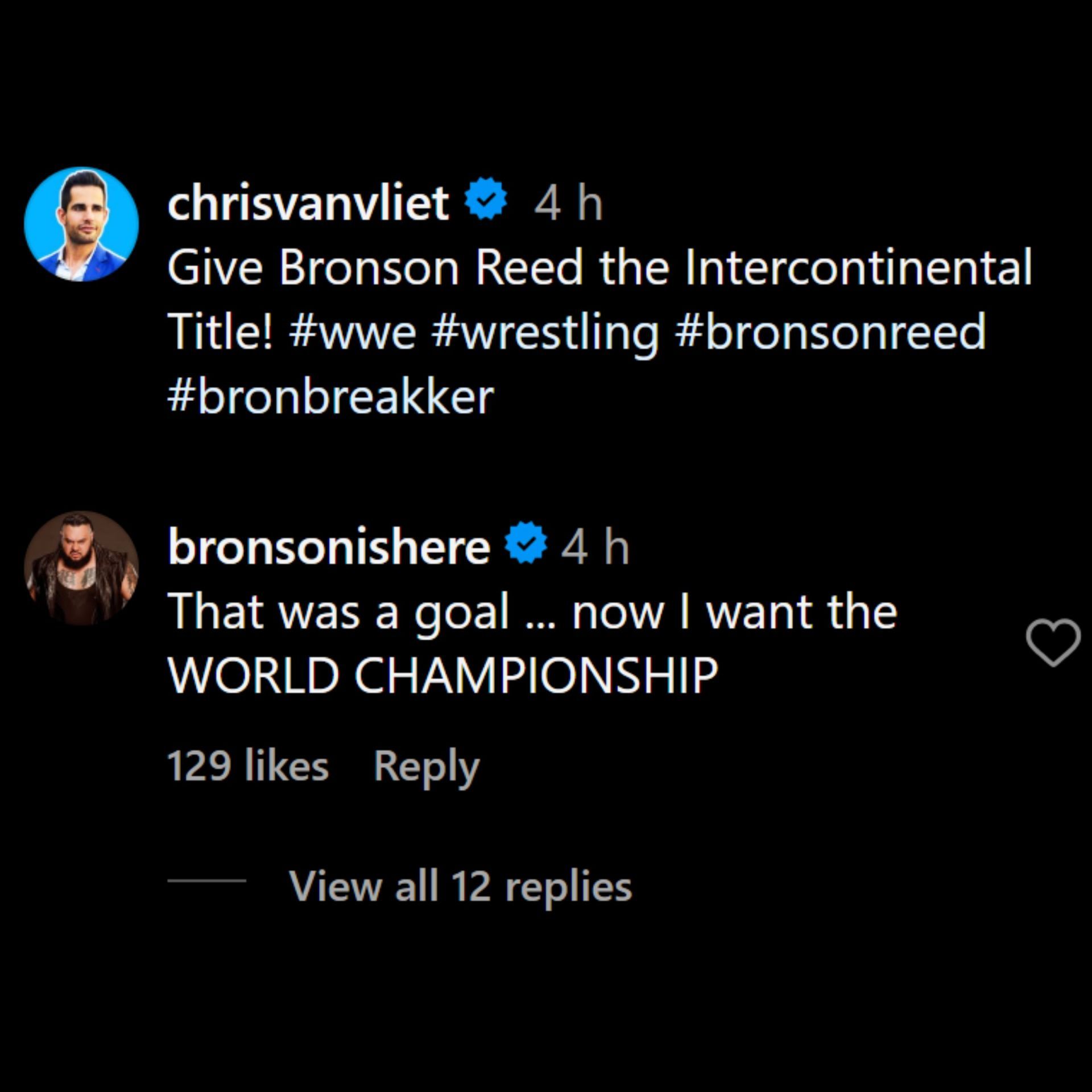 Bronson Reed sends a message [Image credit: Screenshot of Reed&#039;s comment on Van Vliet&#039;s Instagram post]