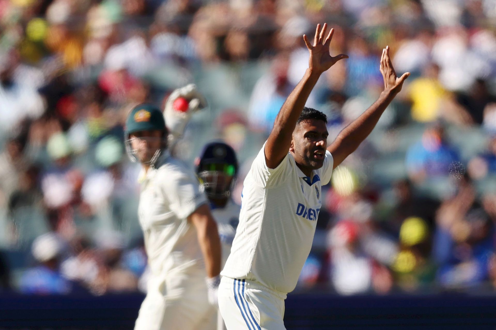 Australia v India - Men