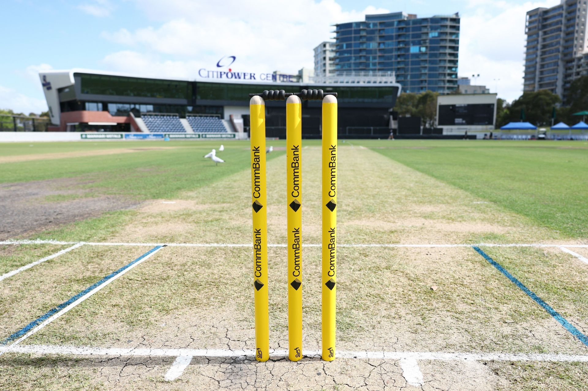 WNCL - VIC v SA - Source: Getty