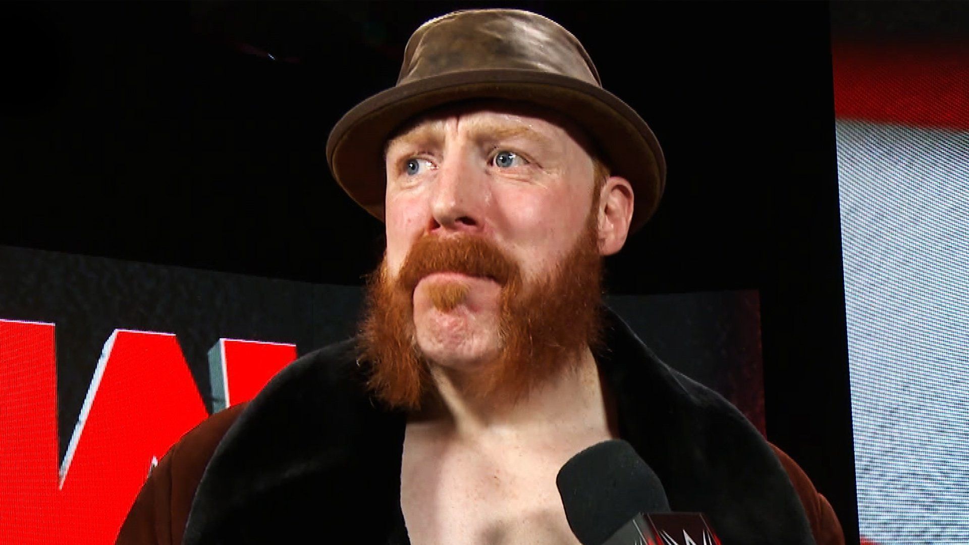 Sheamus is a WWE veteran (Image via WWE.com)