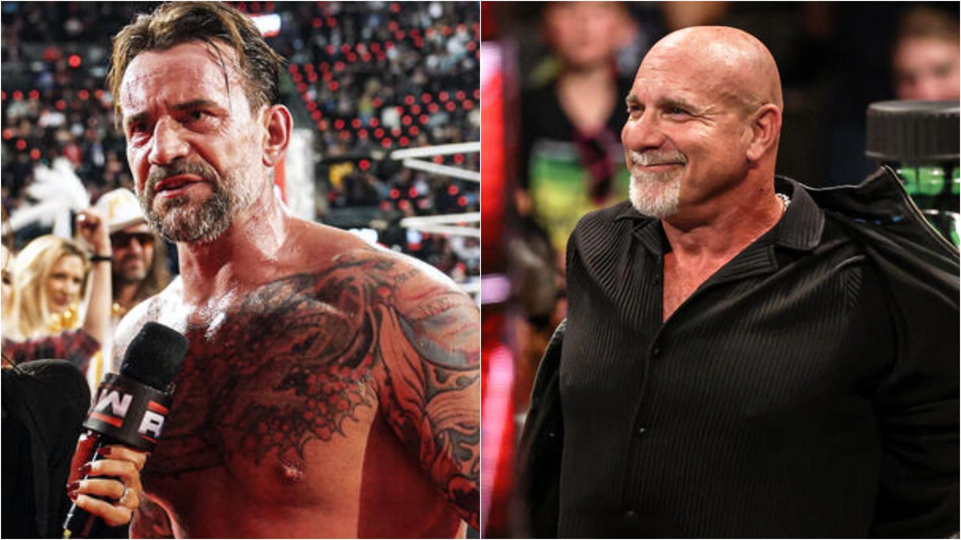 CM Punk (L) Goldberg (R) (Images via wwe.com)