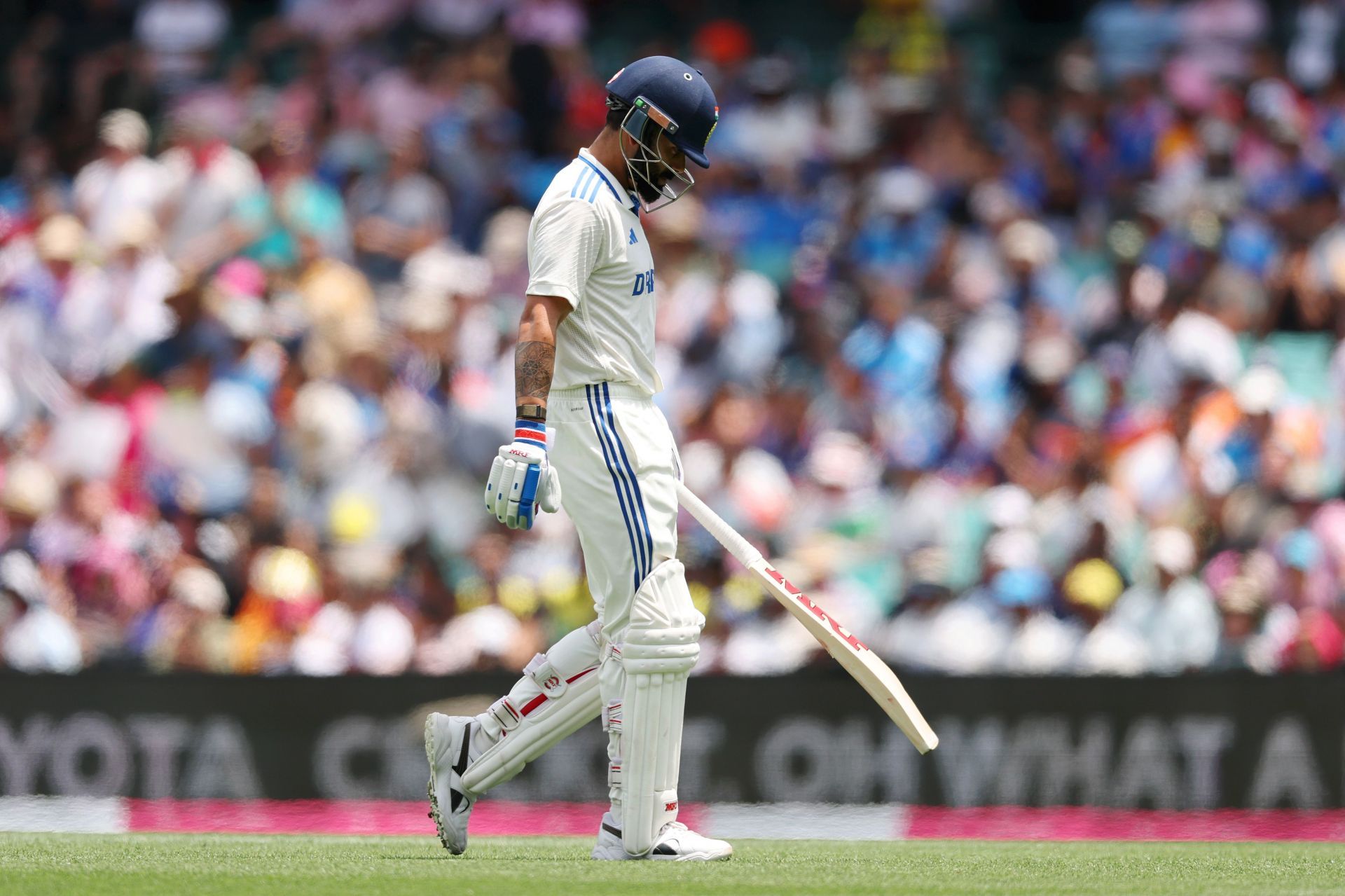 Australia v India - Men