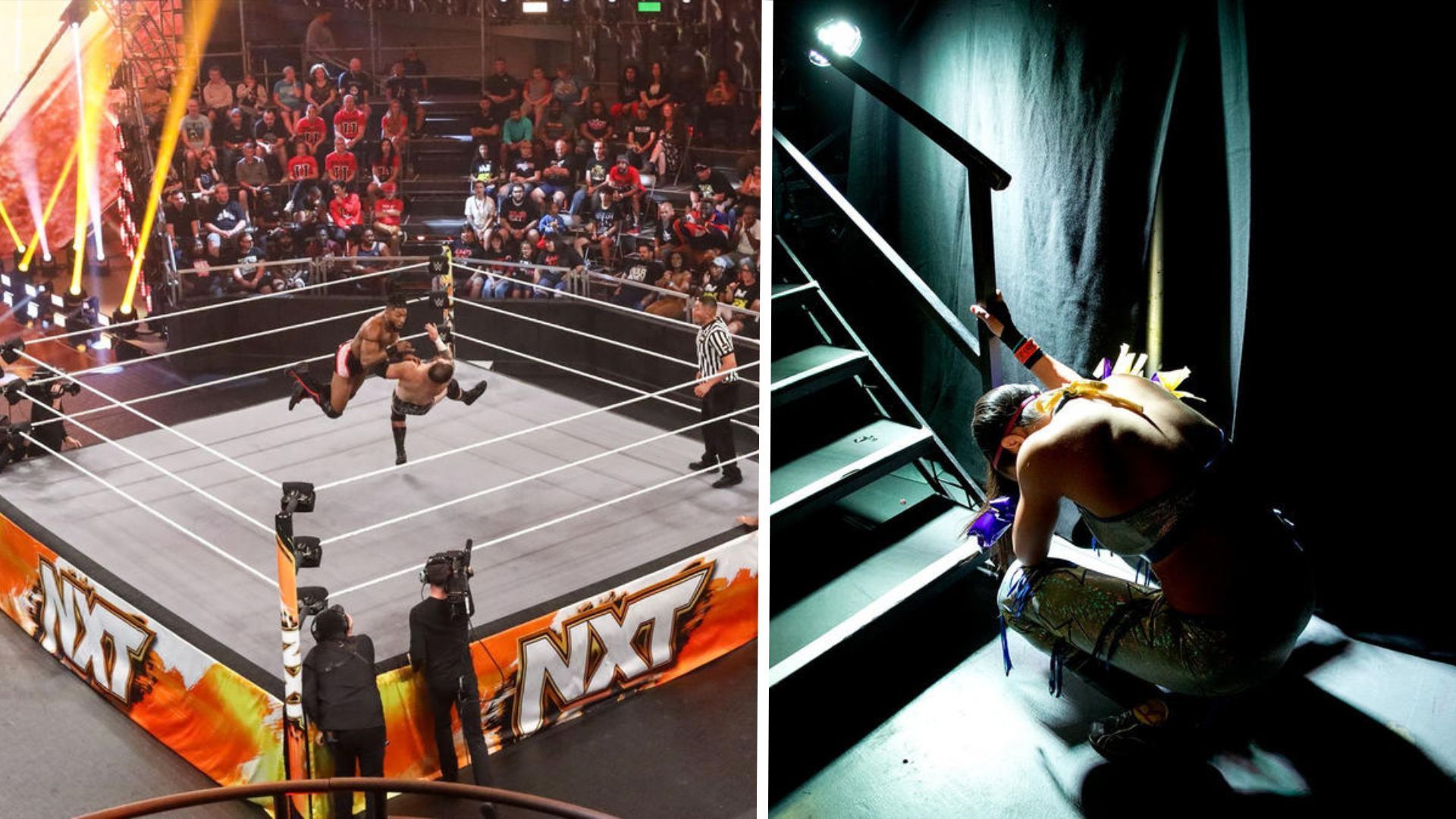 WWE NXT has seen some main roster stars in action recently [Image Credits: WWE.com]