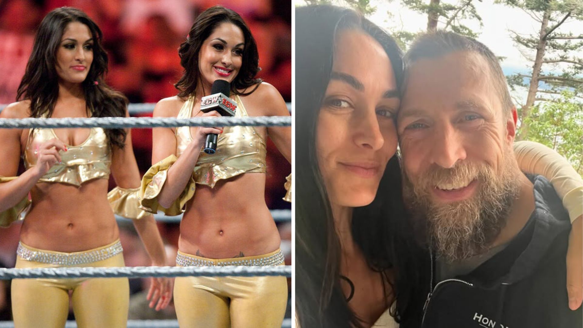 The Bella Twins are WWE Hall of Famers [Image credits: wwe.com and Brie Bella