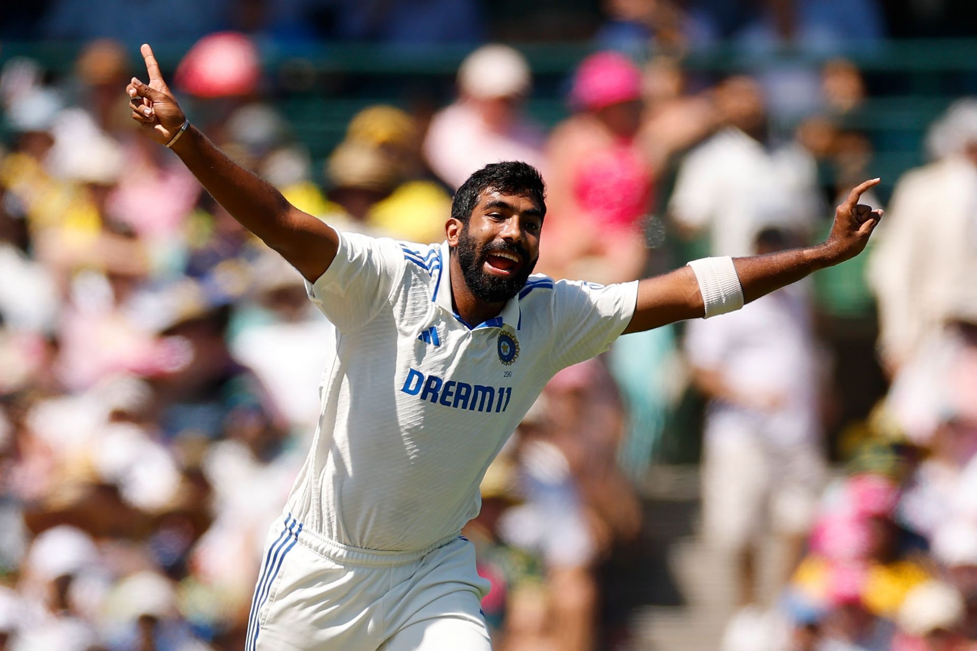 Australia v India - Men