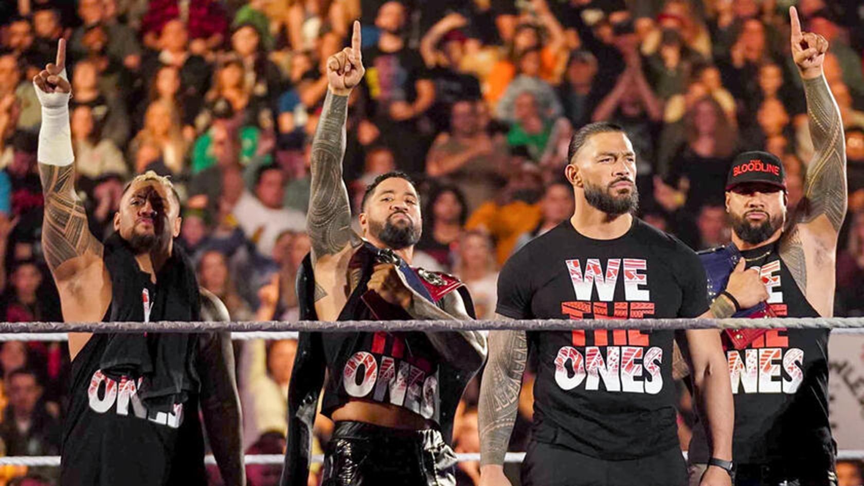 Does Roman have a new recruit? (image via WWE)