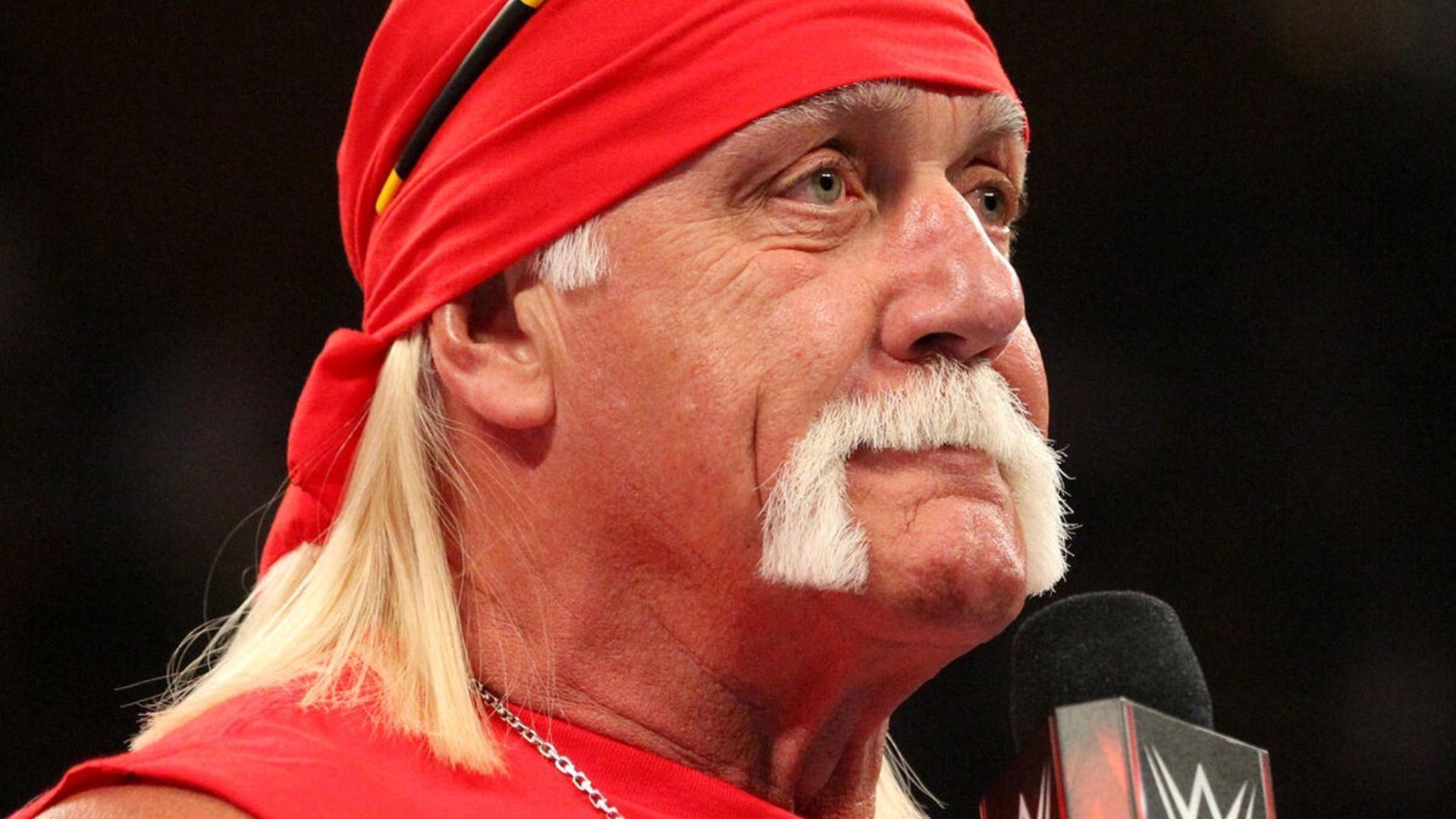 The Immortal Hulk Hogan [Photo credit: WWE.com]