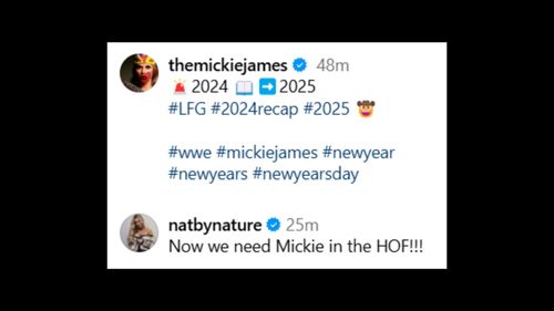 Natalya says James should be in the WWE Hall of Fame! [Image via Instagram]