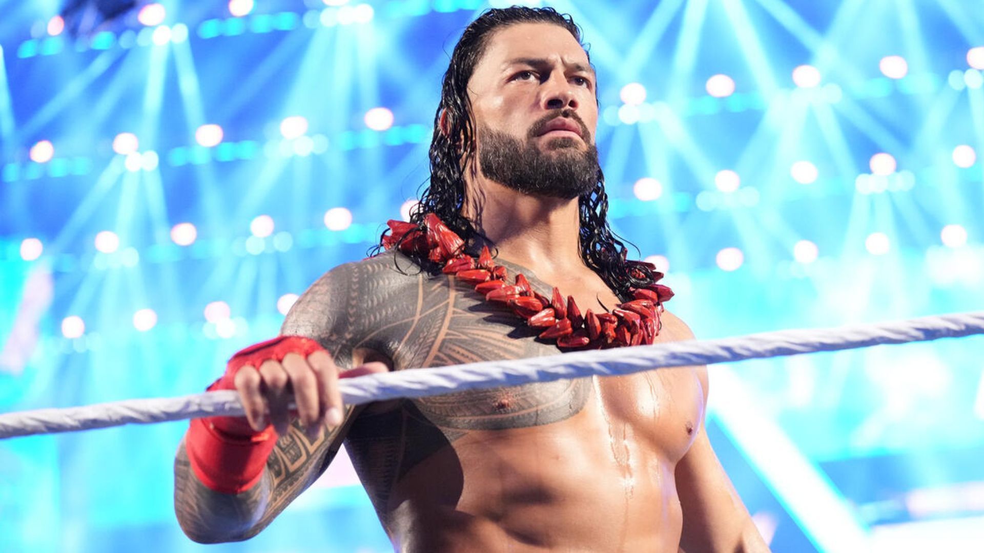 Roman Reigns will be in action on January 6th [Image via wwe.com]