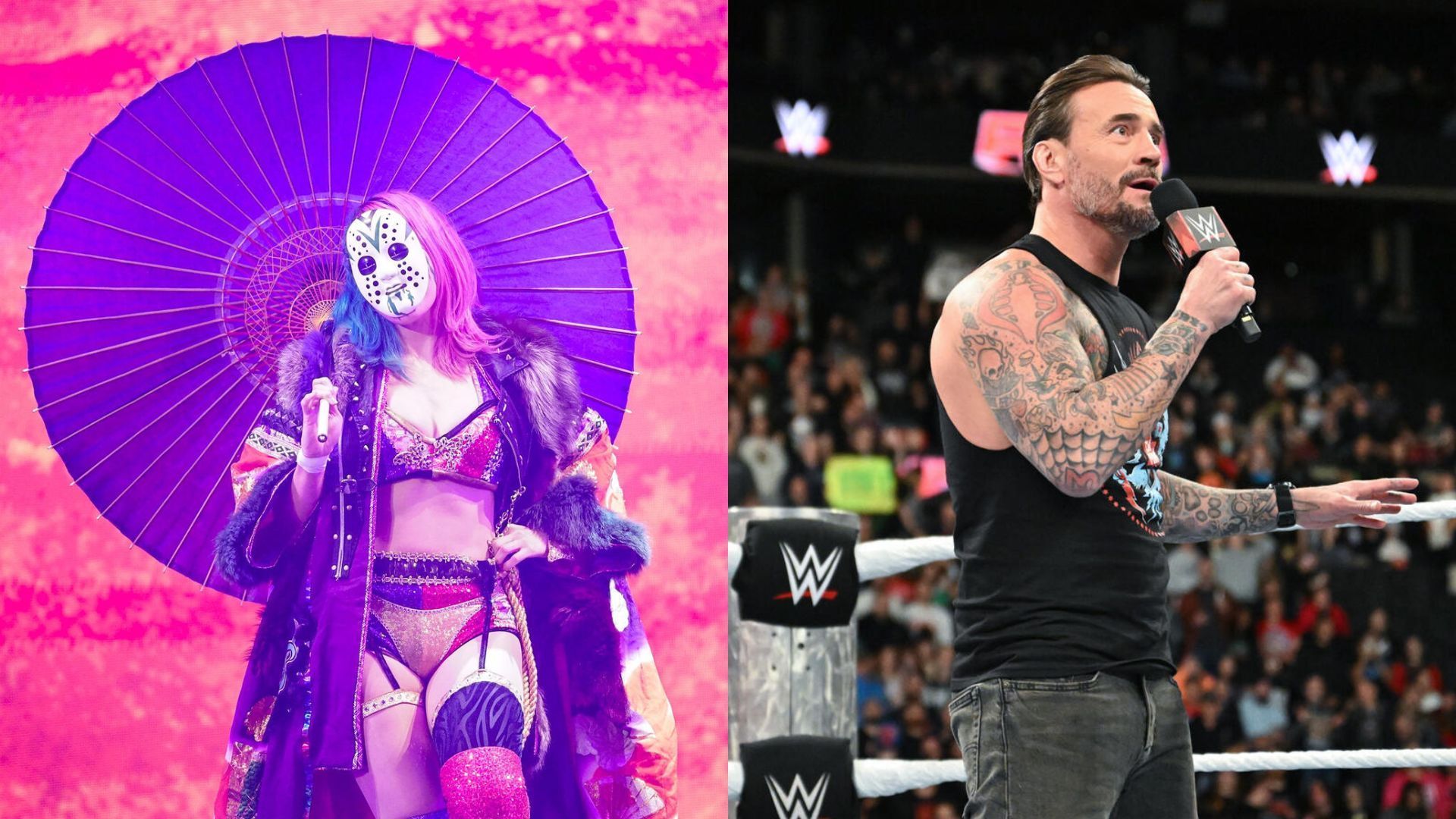 Asuka, CM Punk, and other WWE stars react! [Image credits: WWE.com]