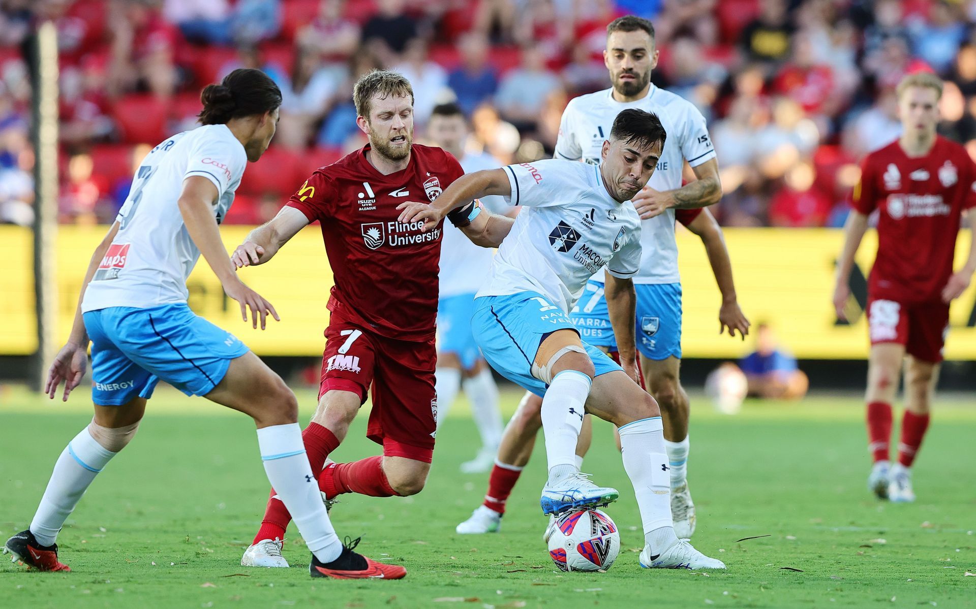 A-League Men Rd 9 - Adelaide United v Sydney FC - Source: Getty