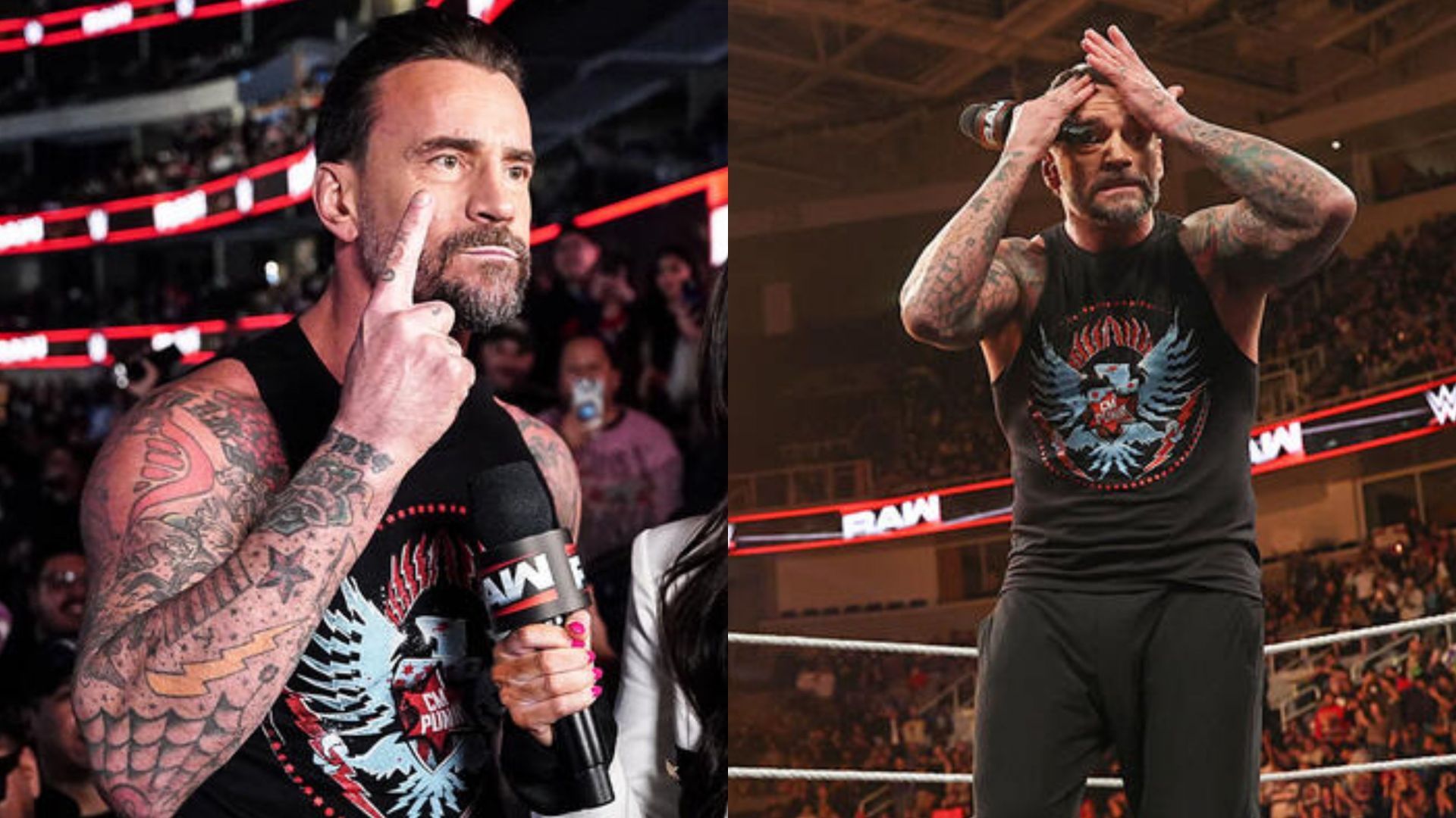 CM Punk (Image credits: WWE.com)