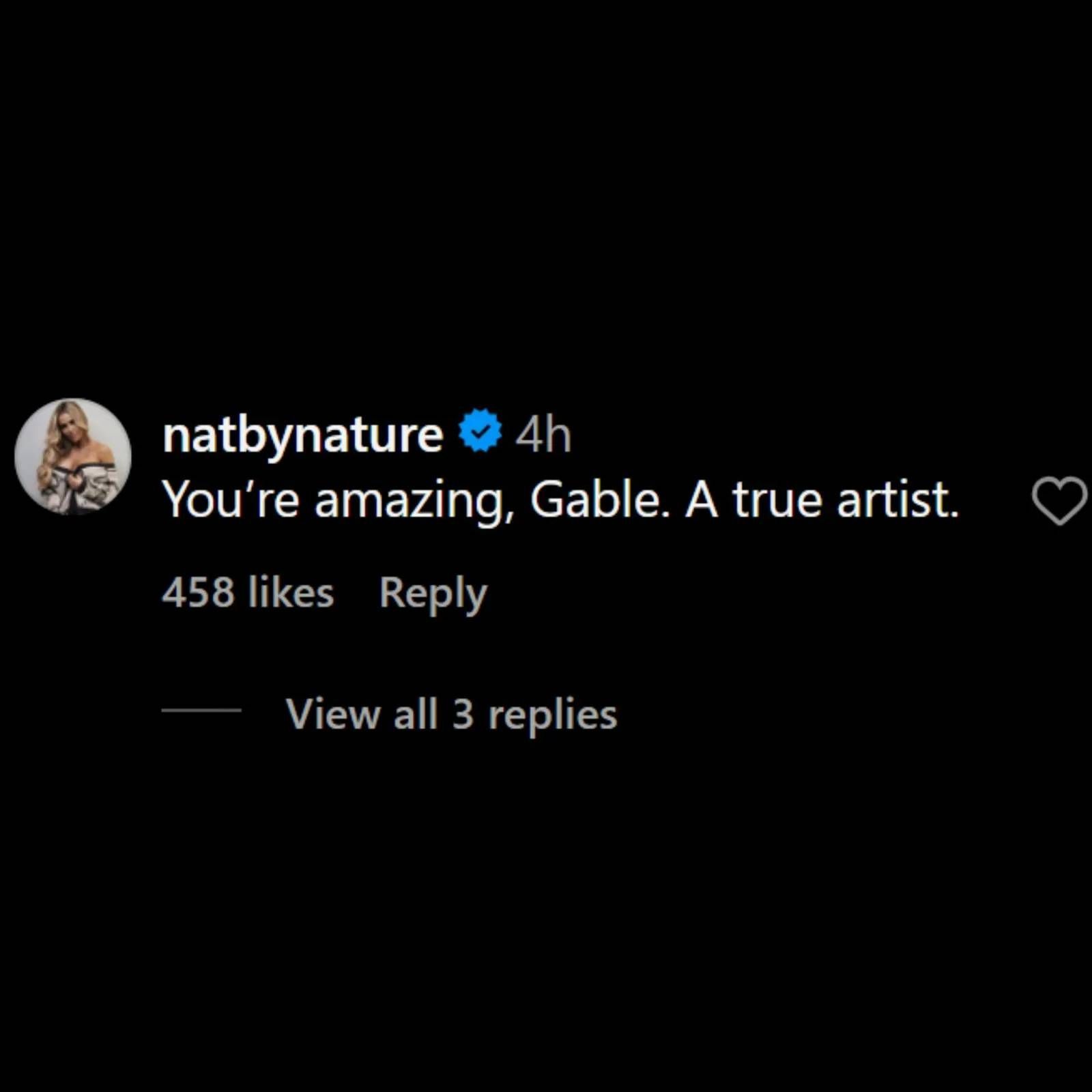 Screengrab of Natalya&#039;s comment (Credit: Chad Gable&#039;s Instagram account)