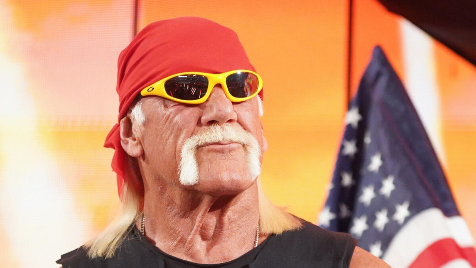 What was your reaction to Hulk Hogan