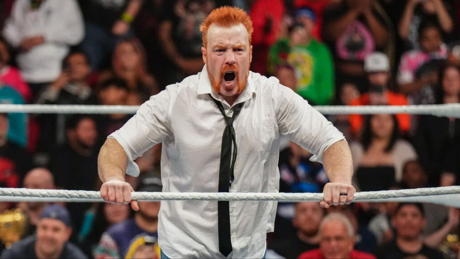 Sheamus returned to RAW in late December (Photo credit: WWE.com)