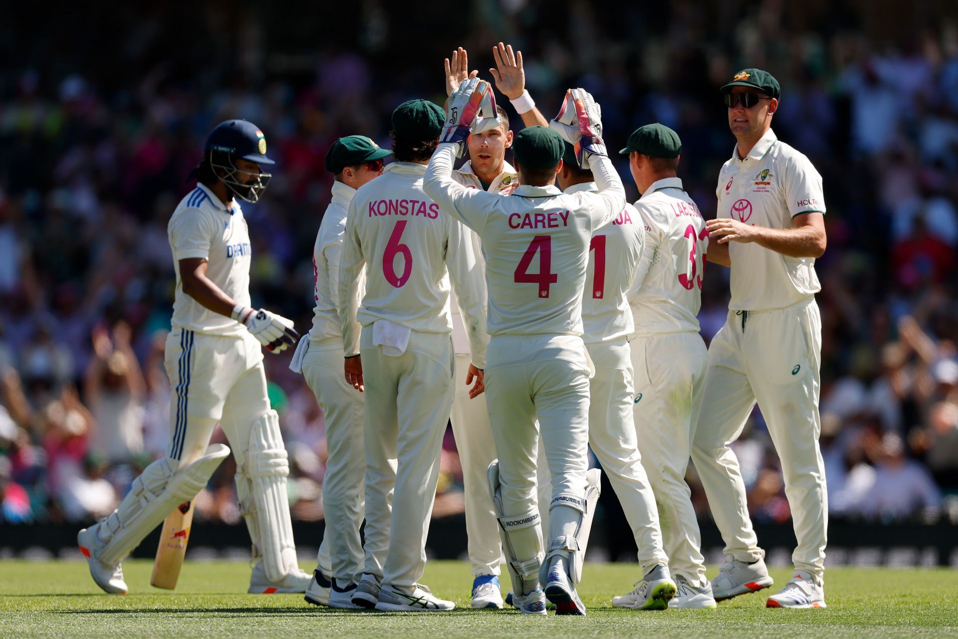 Australia v India - Men