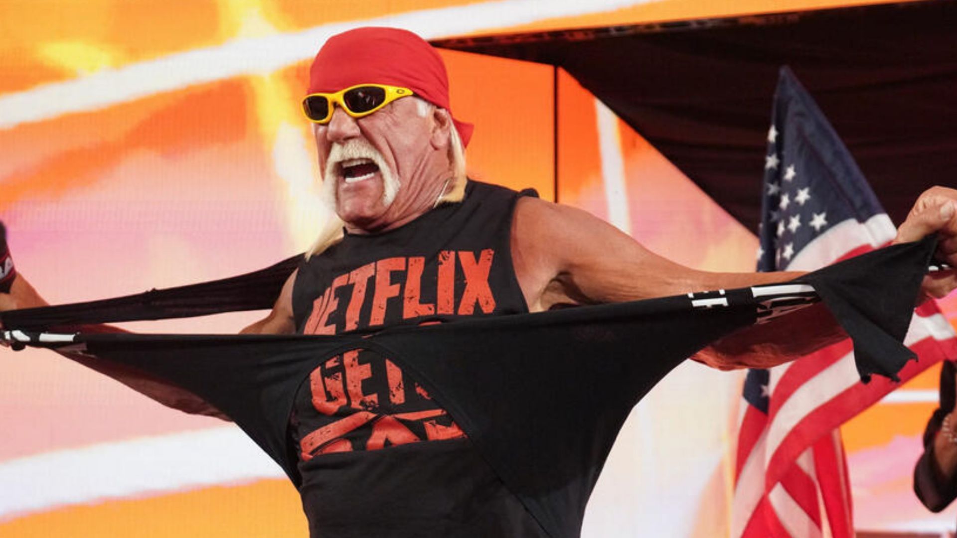 WWE Hall of Famer Hulk Hogan (Image credit: WWE.com)