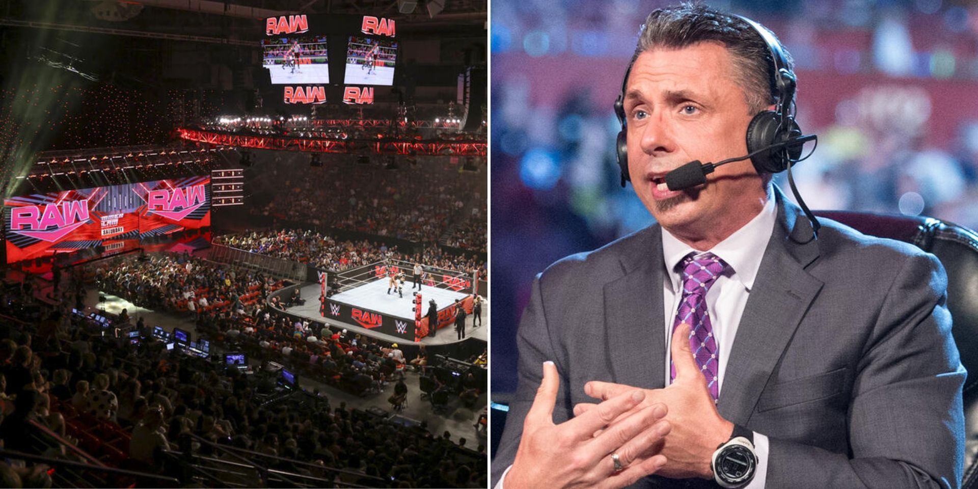 Michael Cole is a veteran WWE commentator (Images via WWE.com)