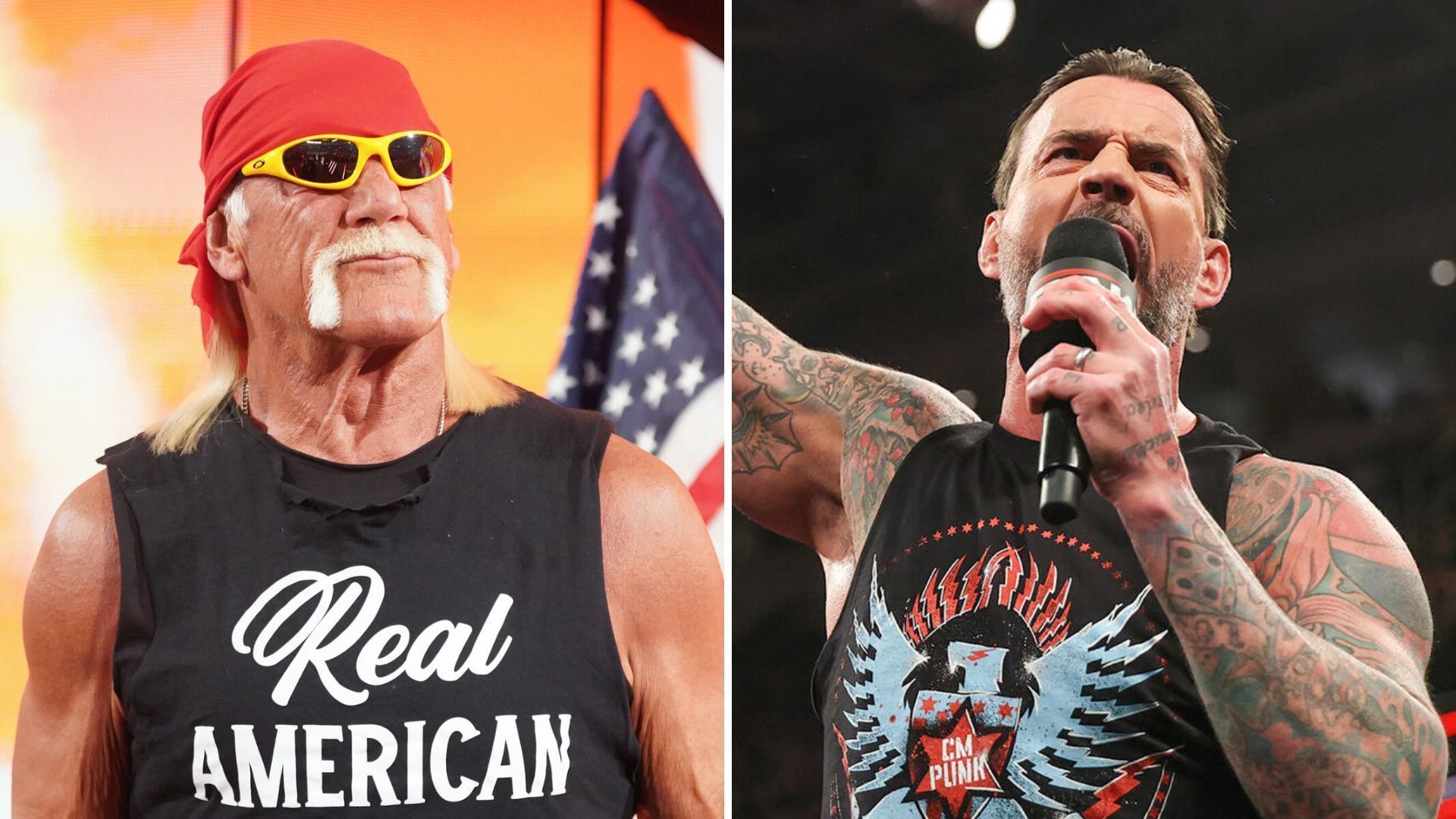 Hulk Hogan was on the receiving end of some critical comments from CM Punk [Image credits: WWE.com]