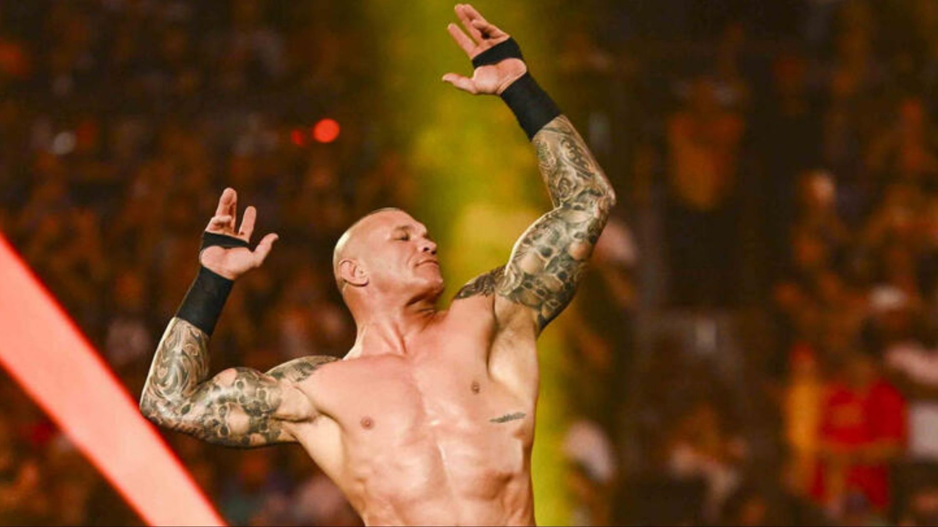 The Viper, Randy Orton (Photo credit: WWE.com)