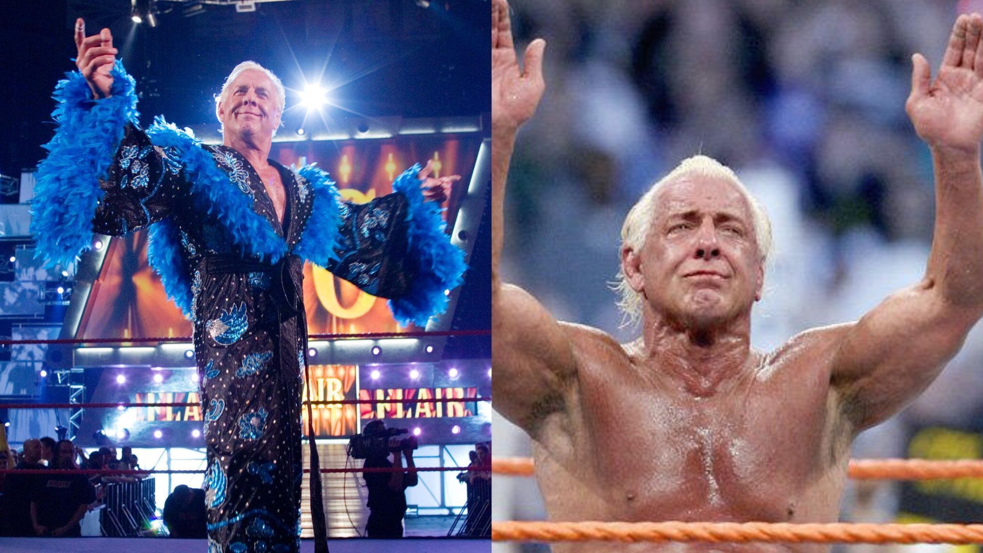 Ric Flair wants one more match (Image Credits: WWE.com)