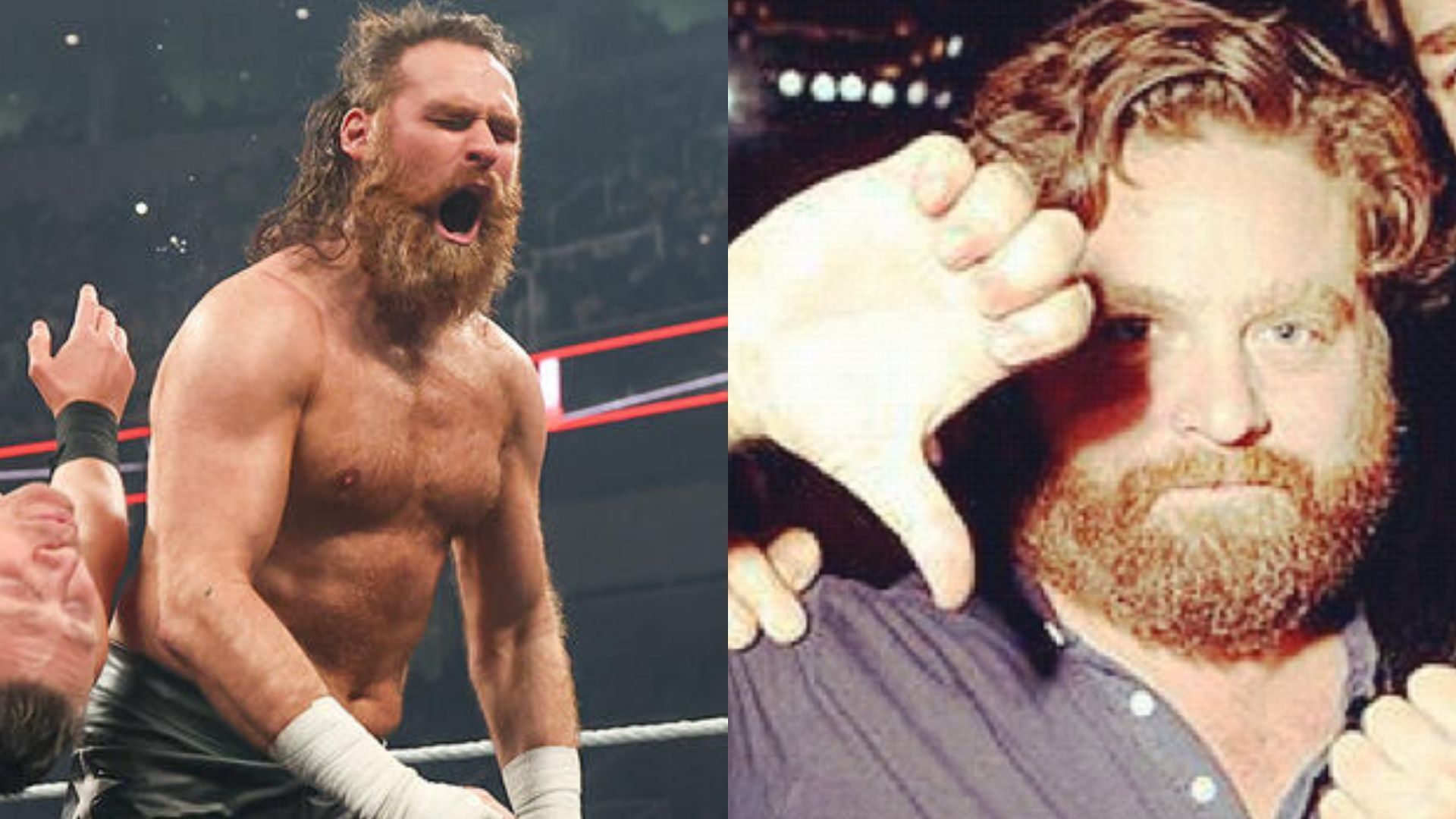 Sami Zayn and Zach Galifianakis. [Images via WWE.com and the actor