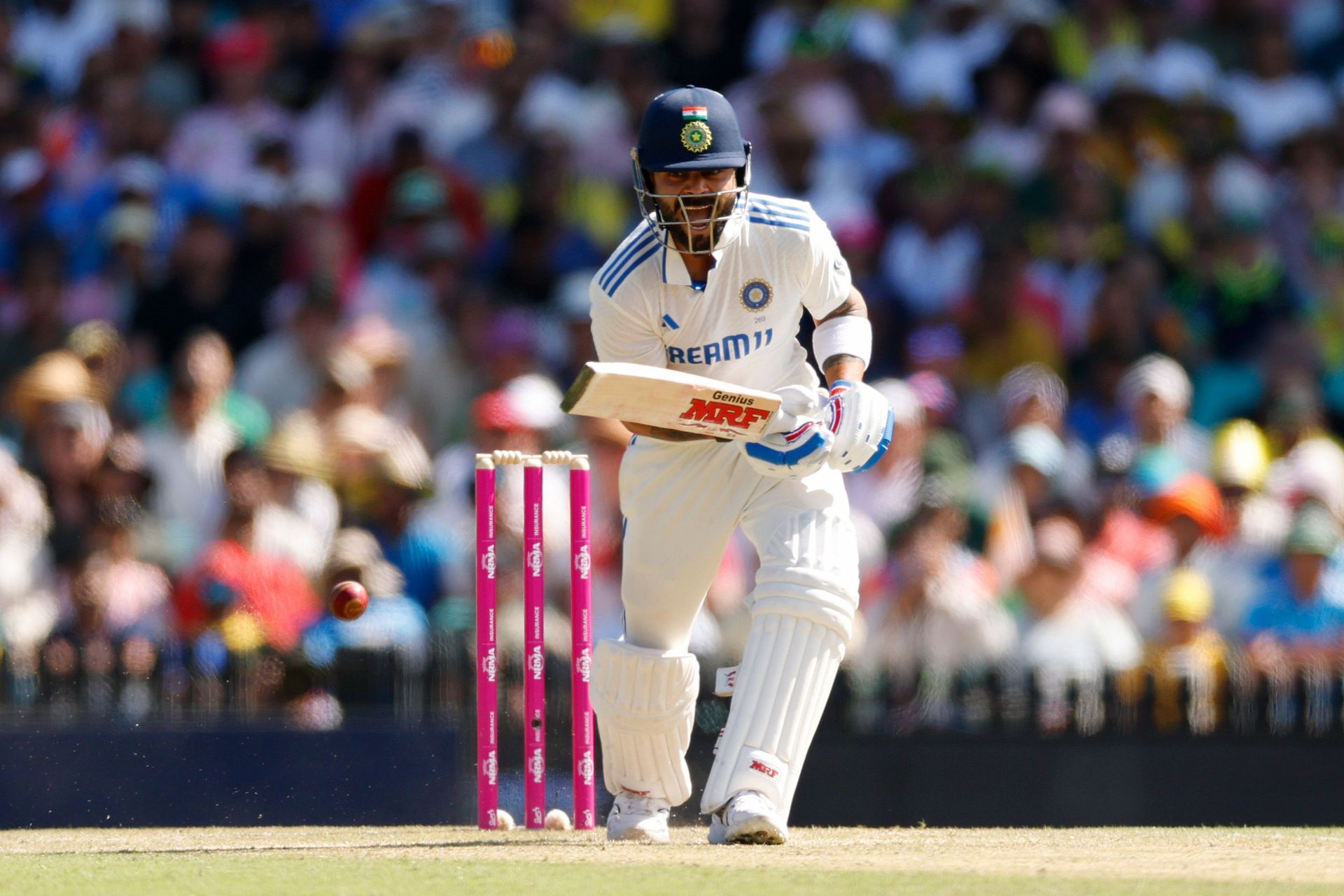 Australia v India - Men