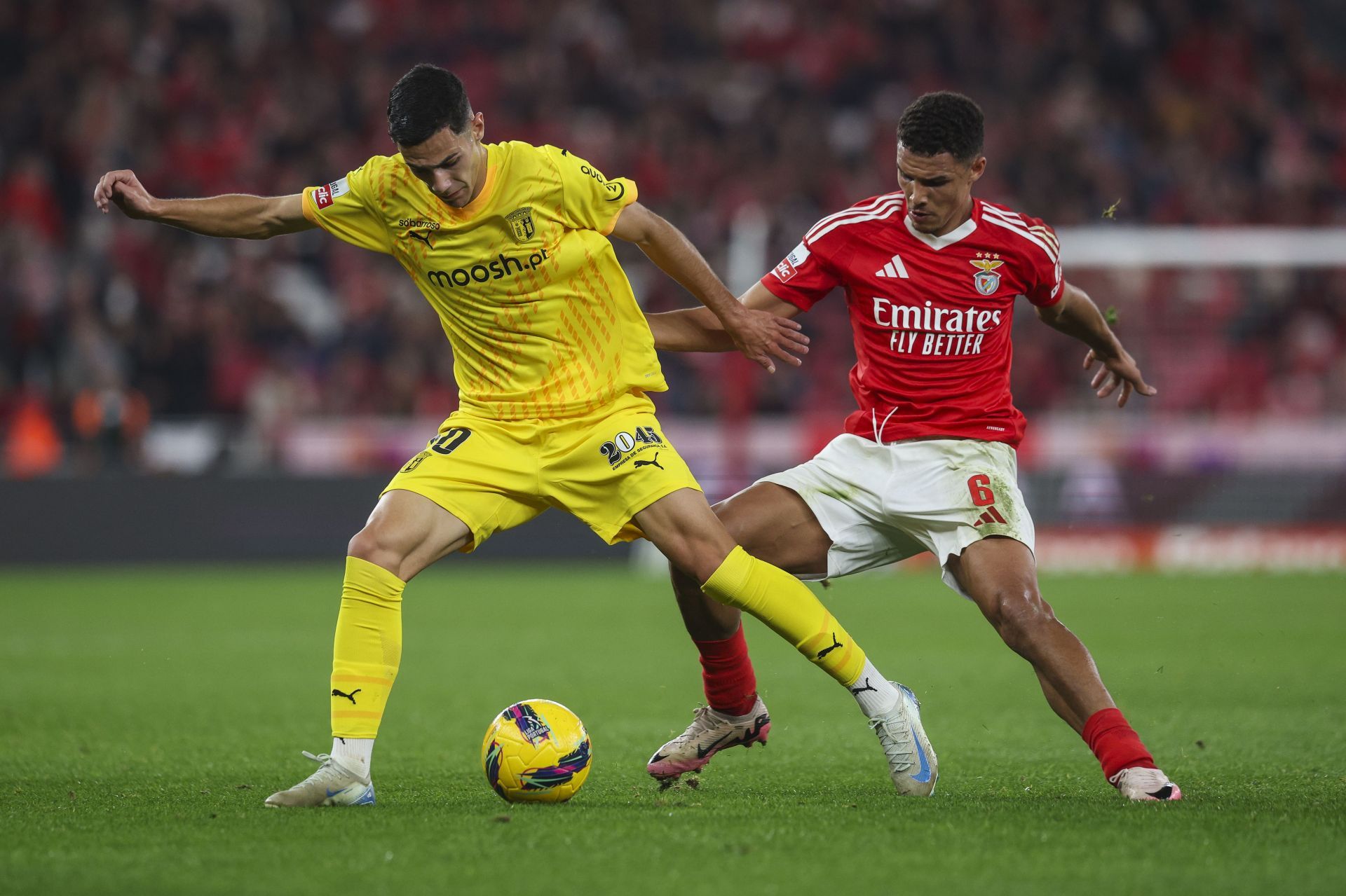 SL Benfica v SC Braga - Liga Portugal Betclic 2024/2025 - Source: Getty