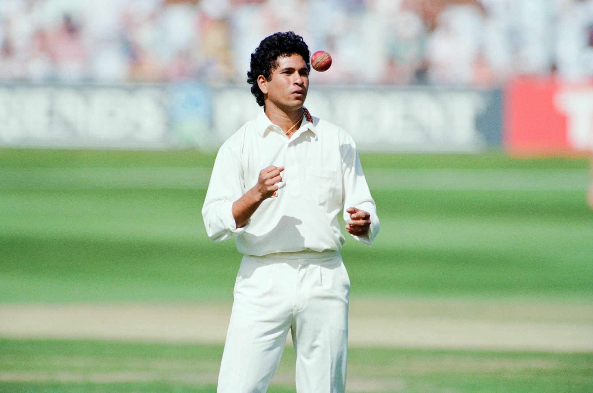 Cricket 1992 - Source: Getty