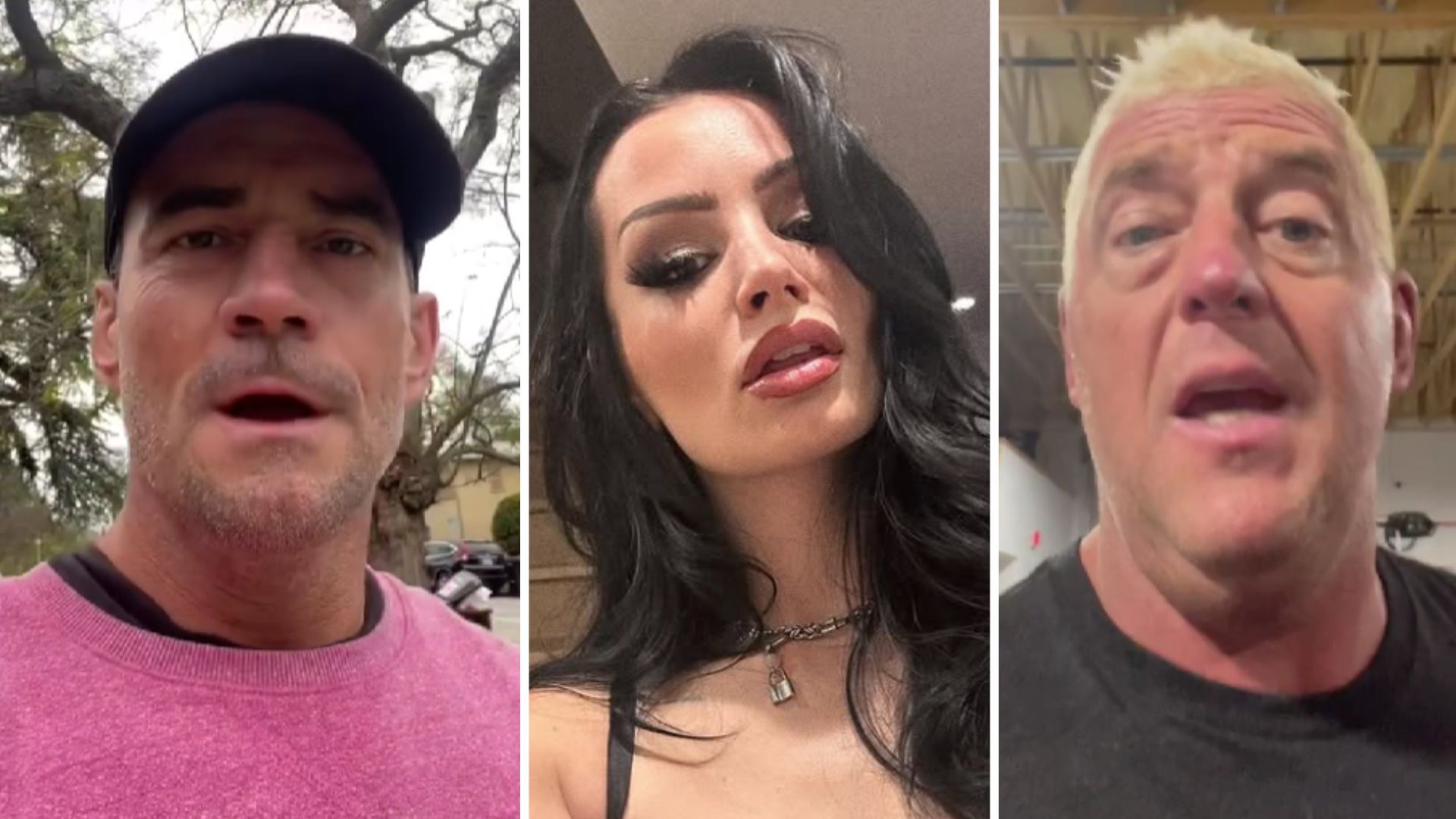 CM Punk (left), Saraya (middle), Dustin Rhodes (right) [Image credits: stars