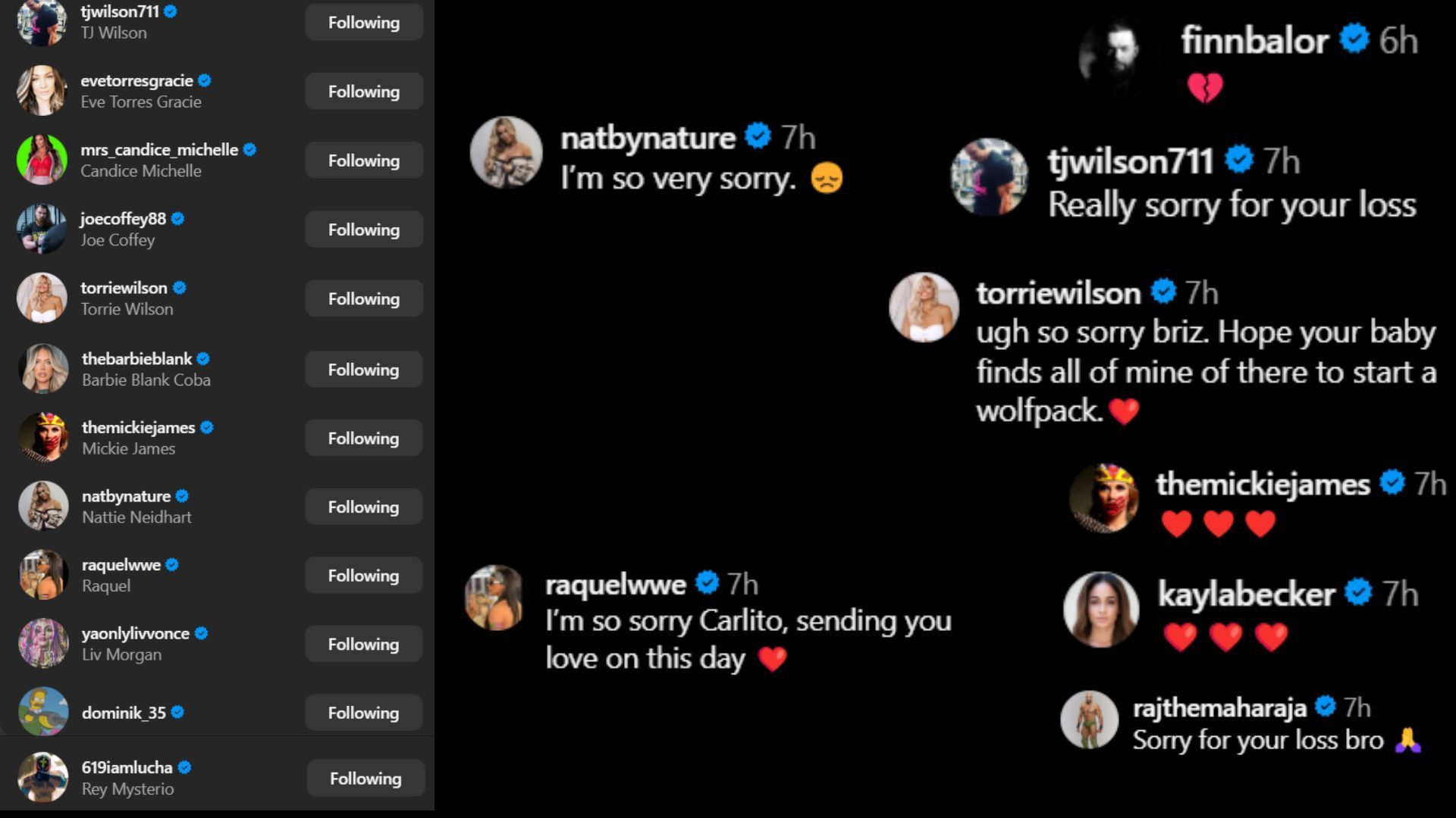 Screenshots of stars&#039; likes and comments [Image credits: Carlito&#039;s Instagram handle]